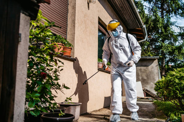 Best Exterminator Services  in Oak Park, CA